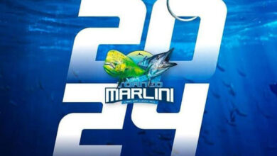 El Torneo Marlini 2024 en Los Cabos reunirá a más de 60 equipos, consolidándose como uno de los eventos de pesca deportiva más importantes de Baja California Sur - México - Noticias